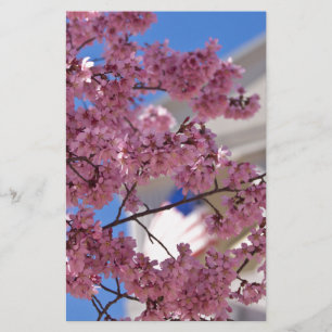 Papier Sakura Cherry Blossoms