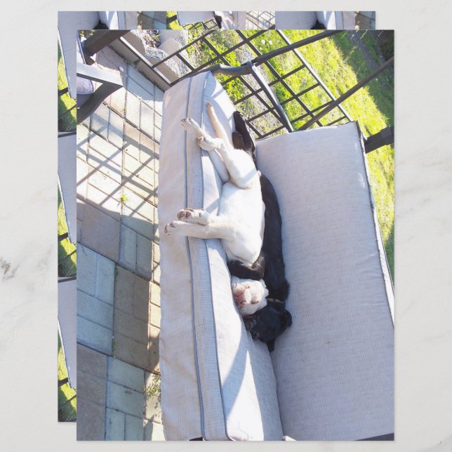 Papier scrapbook de sommeil du groupe de laboratoire (Devant / Derrière)