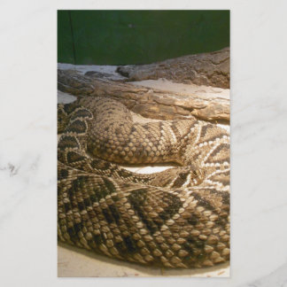 Papier Serpent de bétail