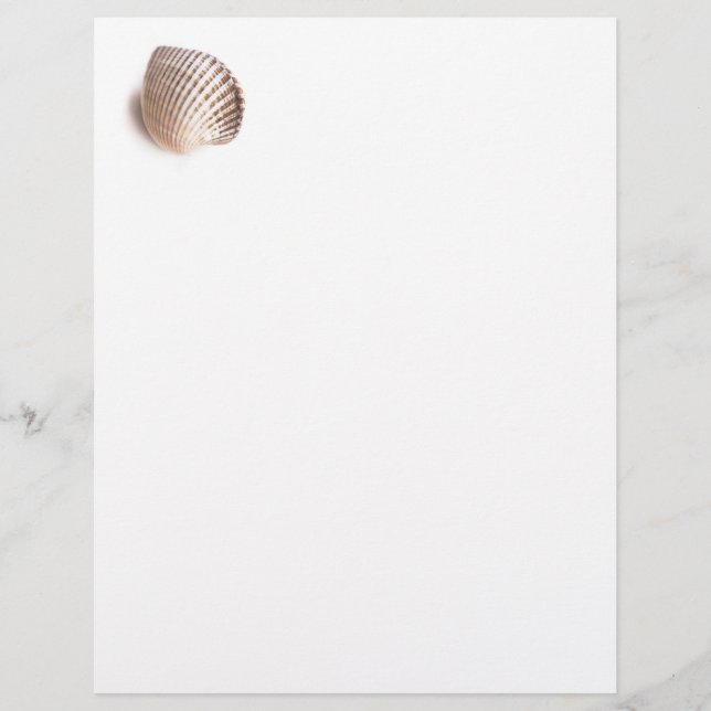 Papier Single seashell (Devant)