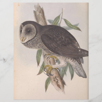 Papier Sooty Owl