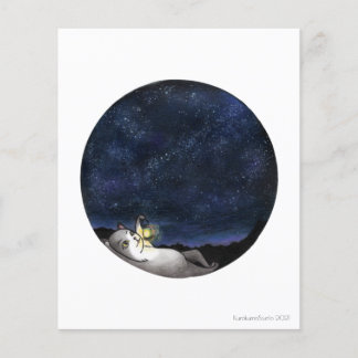 Papier Star GazerCat