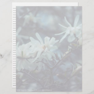 Papier Starry Magnolia