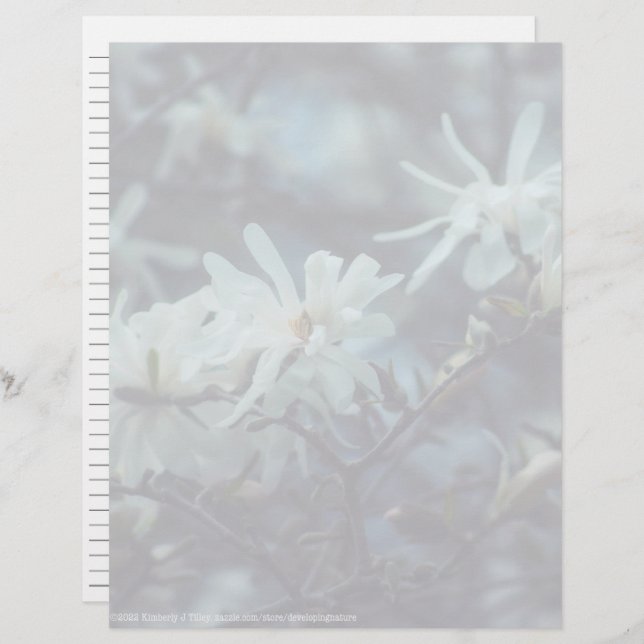 Papier Starry Magnolia (Devant / Derrière)
