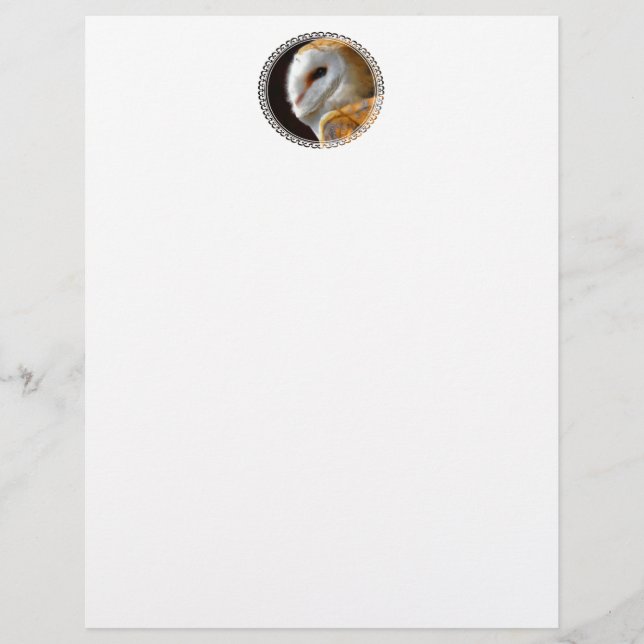 PAPIER STATIONNAIRE OWLS (Devant)