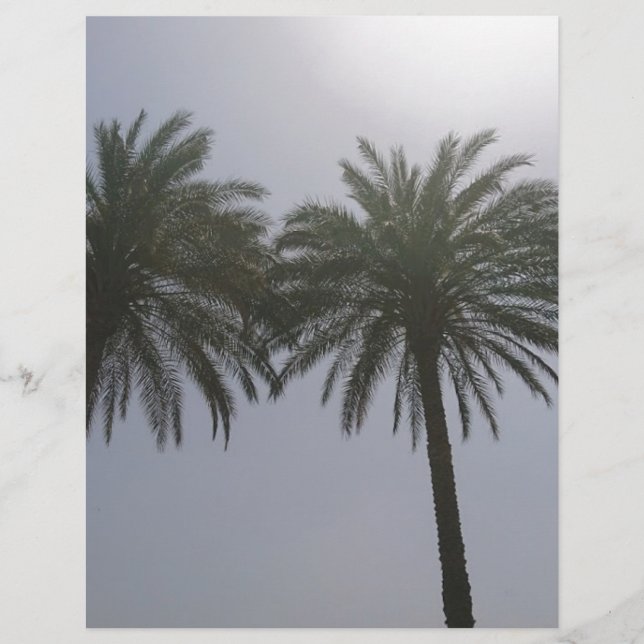 Papier Sun Trees Egypt. (Devant)