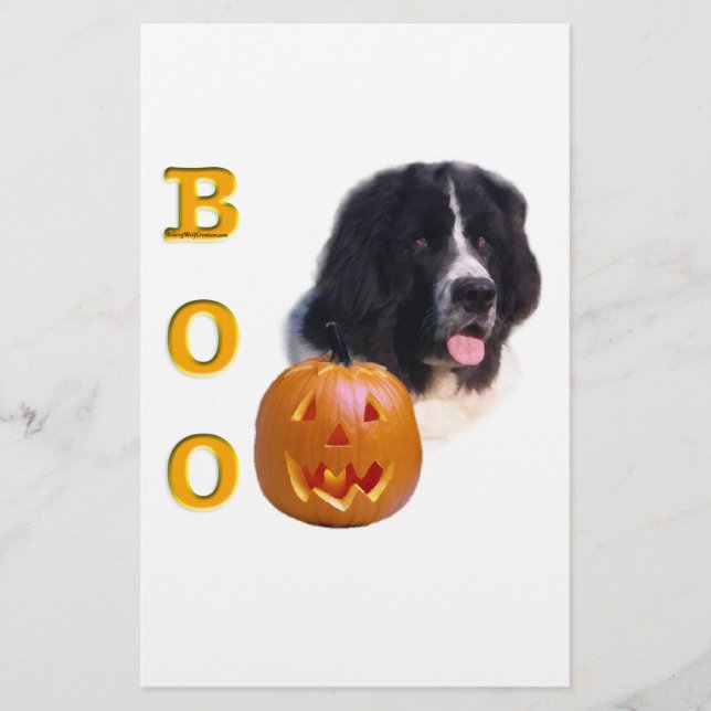 Papier Terre-Neuve Landseer Halloween Boo (Devant)