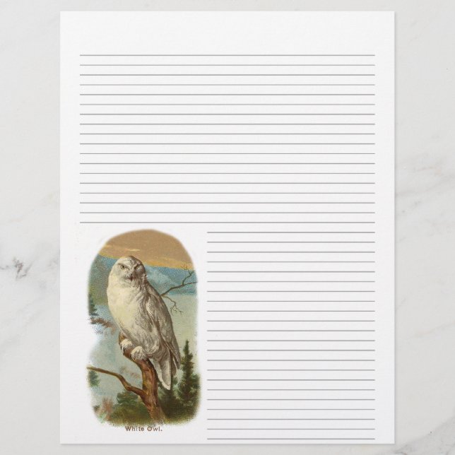 Papier Tête de lettre vintage de Chouette neigeuse (Devant)
