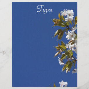 Papier Tiger en tête de lettre