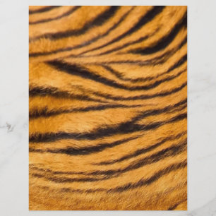 Papier Tiger Grilles Fourrure Noir et Orange Personnalise