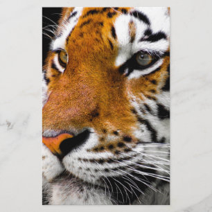 Papier Tigre