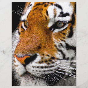 Papier Tigre