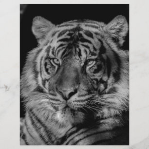 Papier Tigre noir et blanc