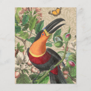 Papier Toucan Jungle Oiseau Tropical Belle Antiquité