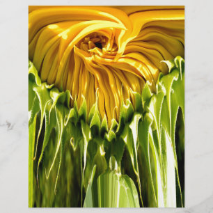 Papier Tournesol rétro funky abstrait, géométrie effrayan