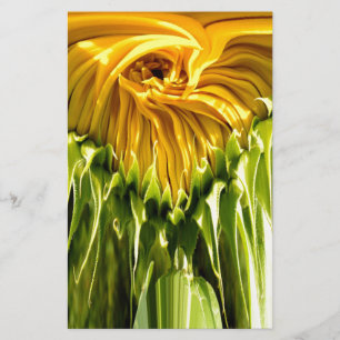 Papier Tournesol rétro funky abstrait, géométrie effrayée