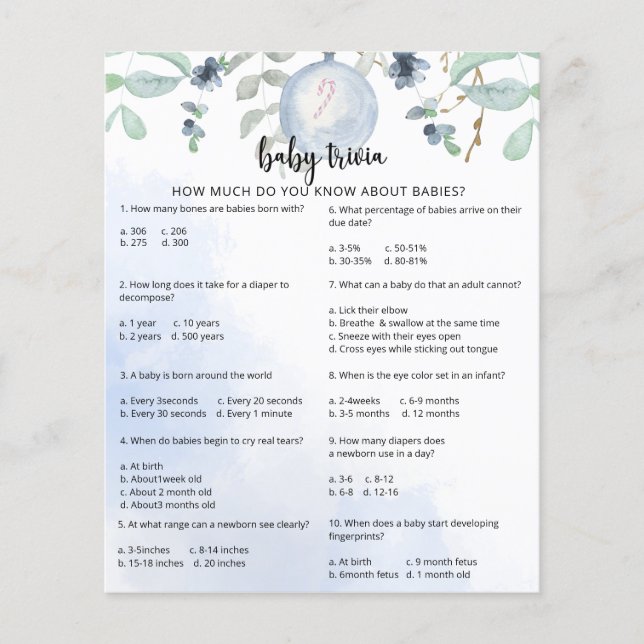 Papier Trivia hivernale pour bébé neige | Jeu Baby shower (Devant)