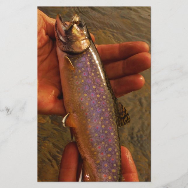 Papier Trout à Hands (Devant)