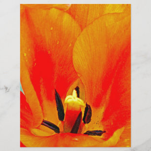 Papier Tulipe orange