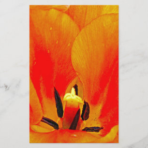 Papier Tulipe orange