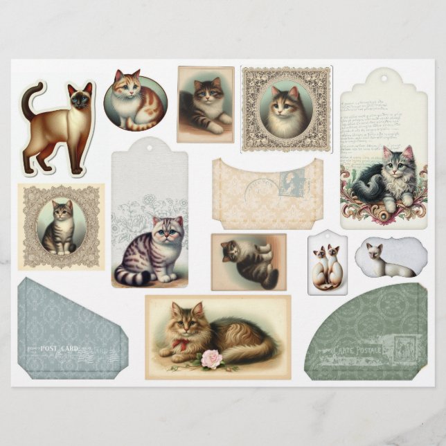 Papier Une grande enveloppe plus de beaux chats dans des  (Devant)