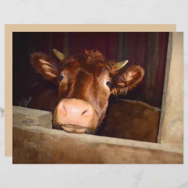 Papier Vache Rustique Pays Brown Grange Funny Farm (Devant / Derrière)