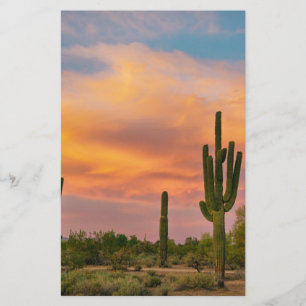 Papier Vie du désert du Saguaro