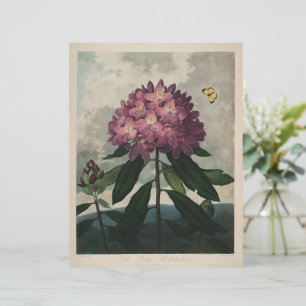Papier Vintage Dark Academia Botanical Print