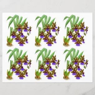 Papier Vintage violet bordeaux orchidée