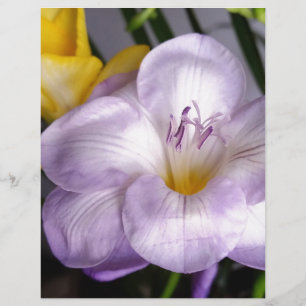 Papier violet freesia