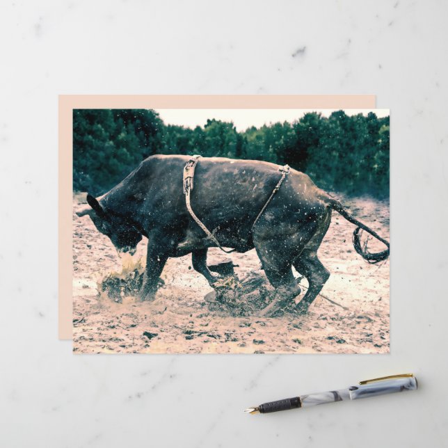 Papier Western Rodeo Black Bull Country Cowboy Russe (Devant/Arrière en situation)