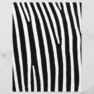 Papier Zebra poster de animal
