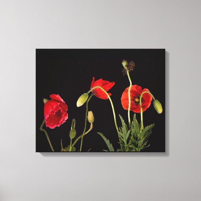 Papiers rouges sur toile noire (Recto)