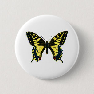 Papilio machaon 2 inch round button