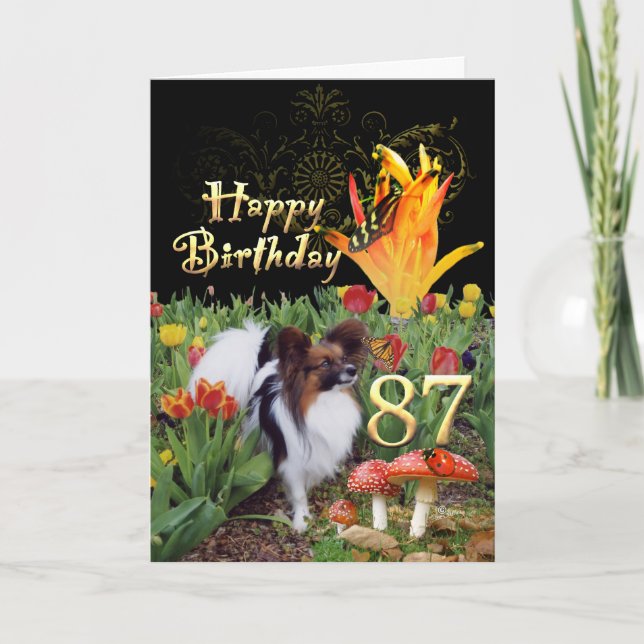 Papillion chien Happy 87 Carte d'anniversaire Spéc (Devant)