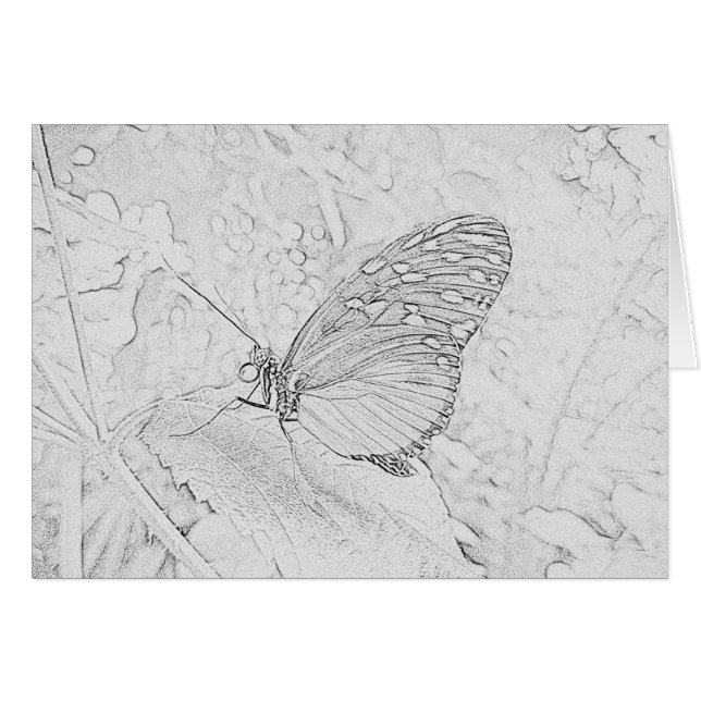 Papillon (Devant horizontal)