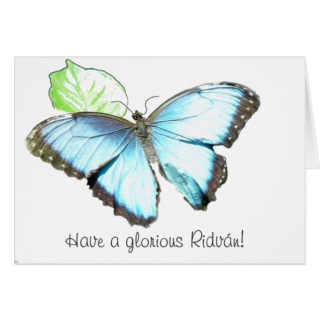 Papillon (Devant horizontal)