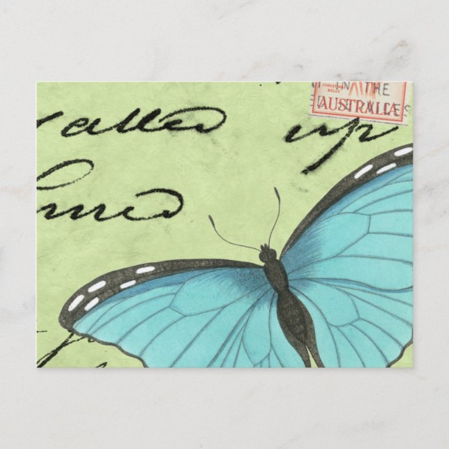 Papillon à ailes bleues sur carte postale Turquois (Devant)