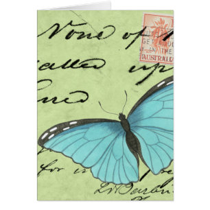 Papillon à ailes bleues sur carte postale Turquois