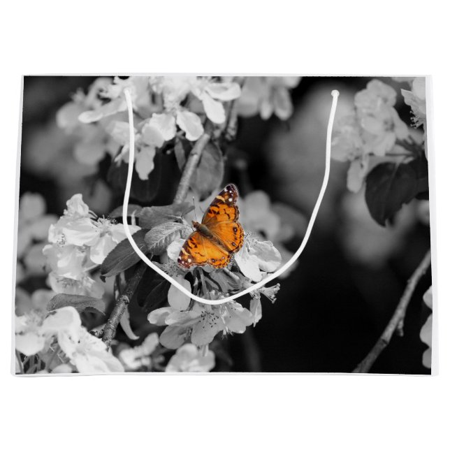 Papillon Américain Lady Sur Sac Cadeau Blossom (Devant)