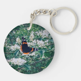 Papillon Amiral Rouge