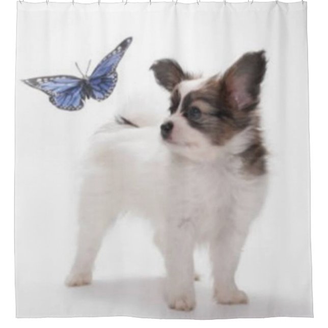 PAPILLON and BUTTERFLY (Front)