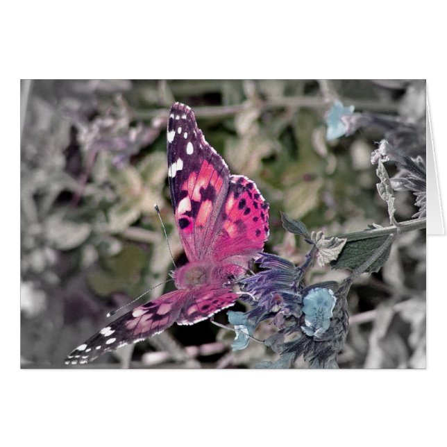 Papillon artistique (Devant horizontal)