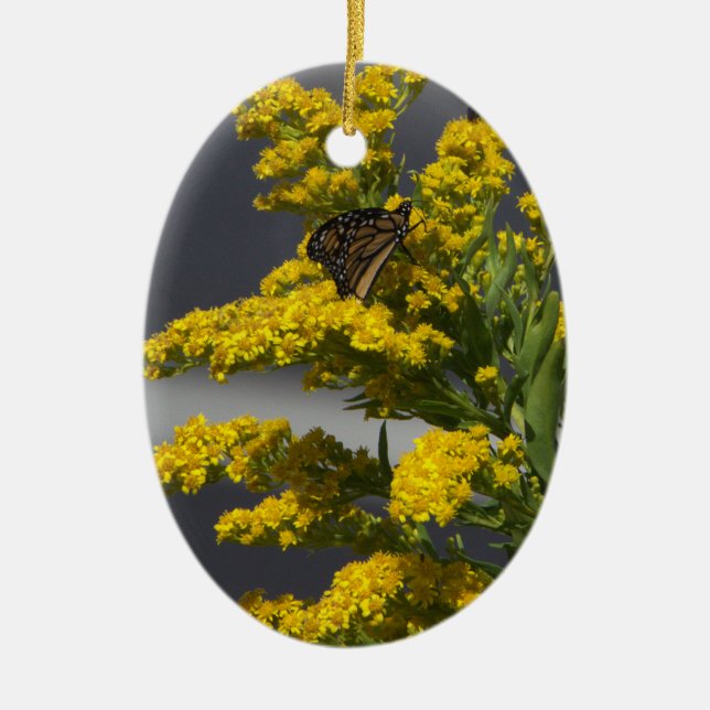 Papillon avec ornement Fleur sauvage jaune (Devant)