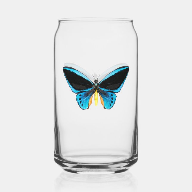 Papillon Birdwing (Recto)