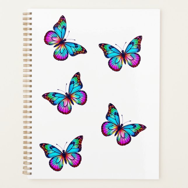 Papillon blanc (Devant)