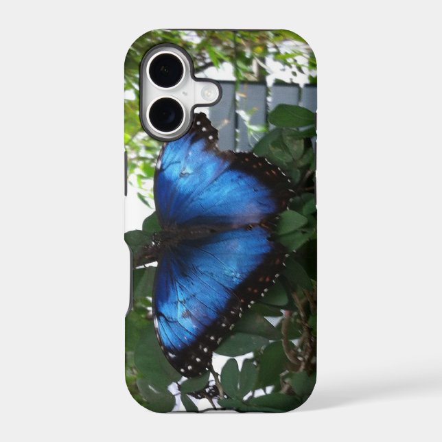 PAPILLON BLEU (Verso)