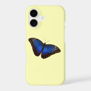 Papillon Bleu