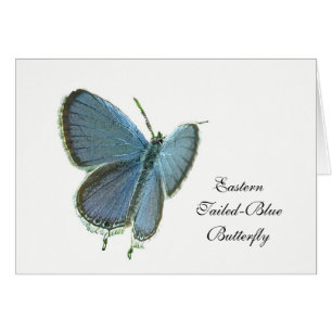 Papillon bleu à queue orientale