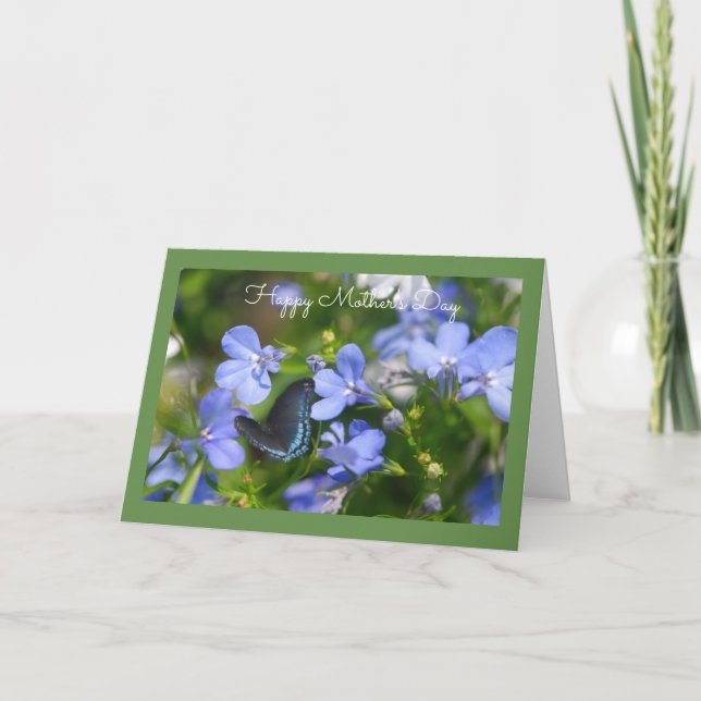 Papillon bleu dans une carte de voeux de Jardin Bl (Devant)